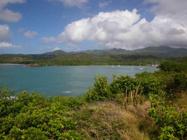 St. David's Harbour